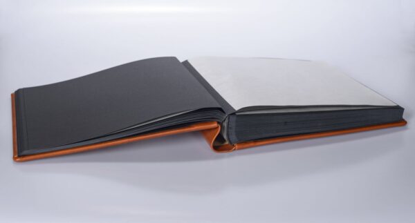 NUM8891-2.jpg