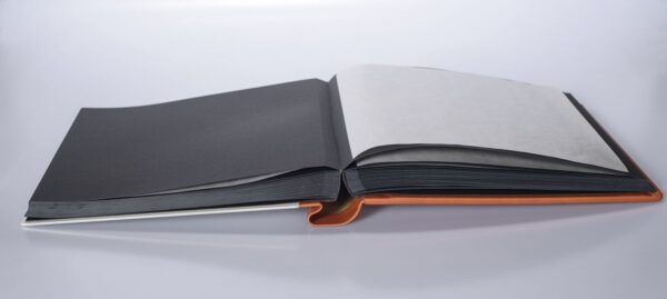NUM8927-2.jpg