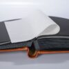 NUM8943-2.jpg