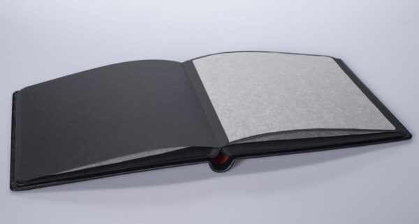 NUM9031-2.jpg